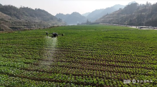低空经济如何在山地&ldquo;起飞&rdquo;？丨贵州新质生产力布局观察